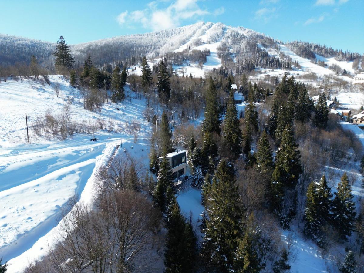 Vila Forest Hub Slavske Exteriér fotografie