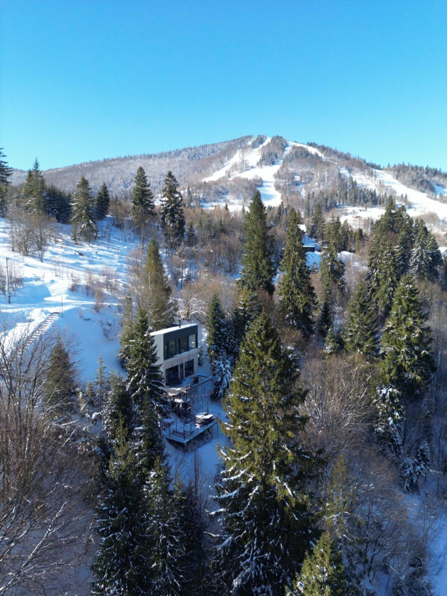 Vila Forest Hub Slavske Exteriér fotografie