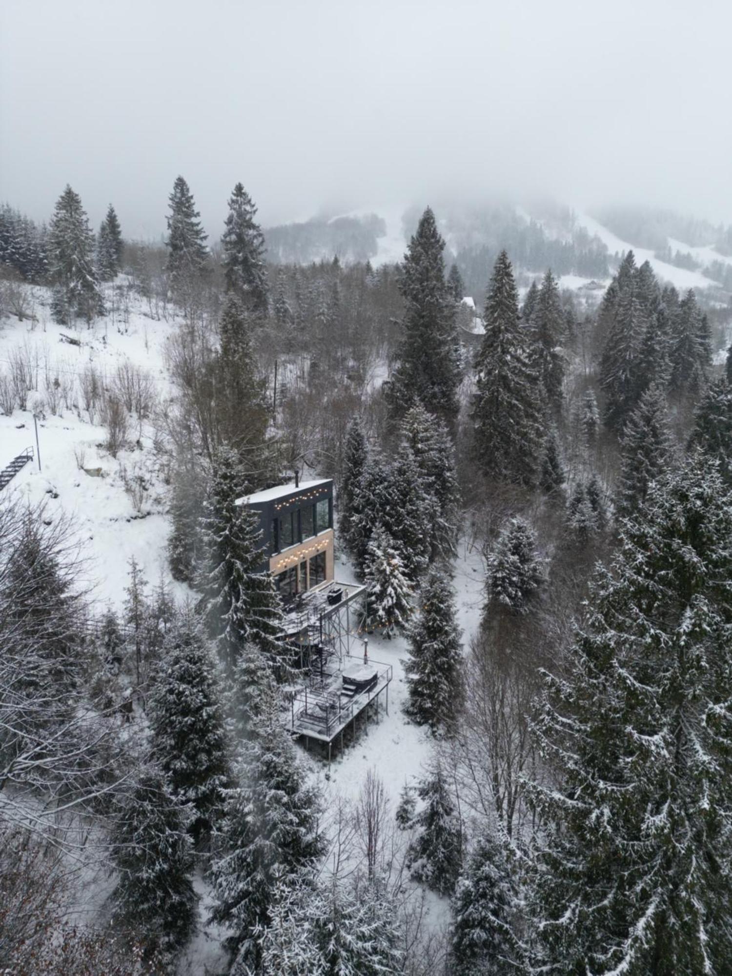 Vila Forest Hub Slavske Exteriér fotografie