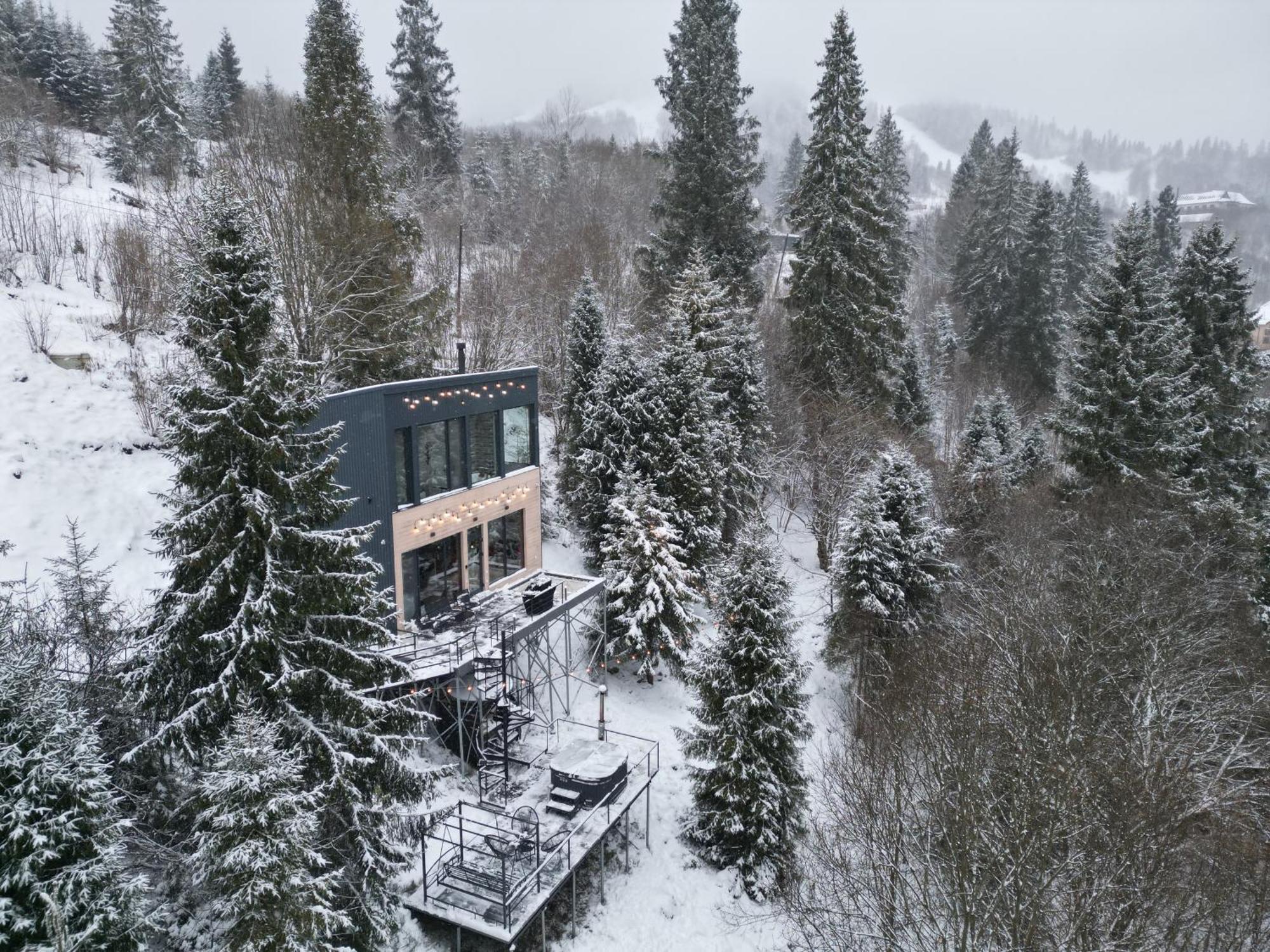 Vila Forest Hub Slavske Exteriér fotografie