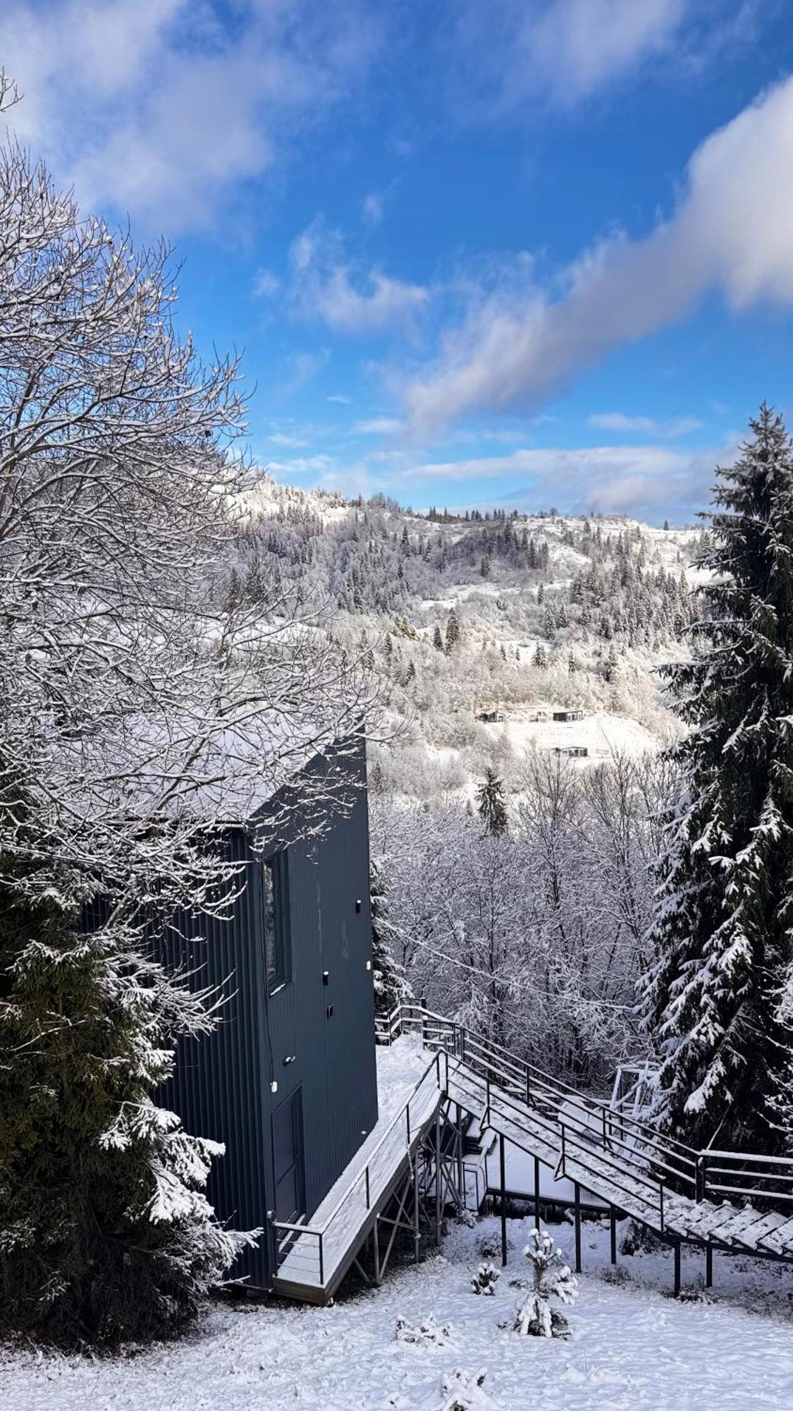 Vila Forest Hub Slavske Exteriér fotografie