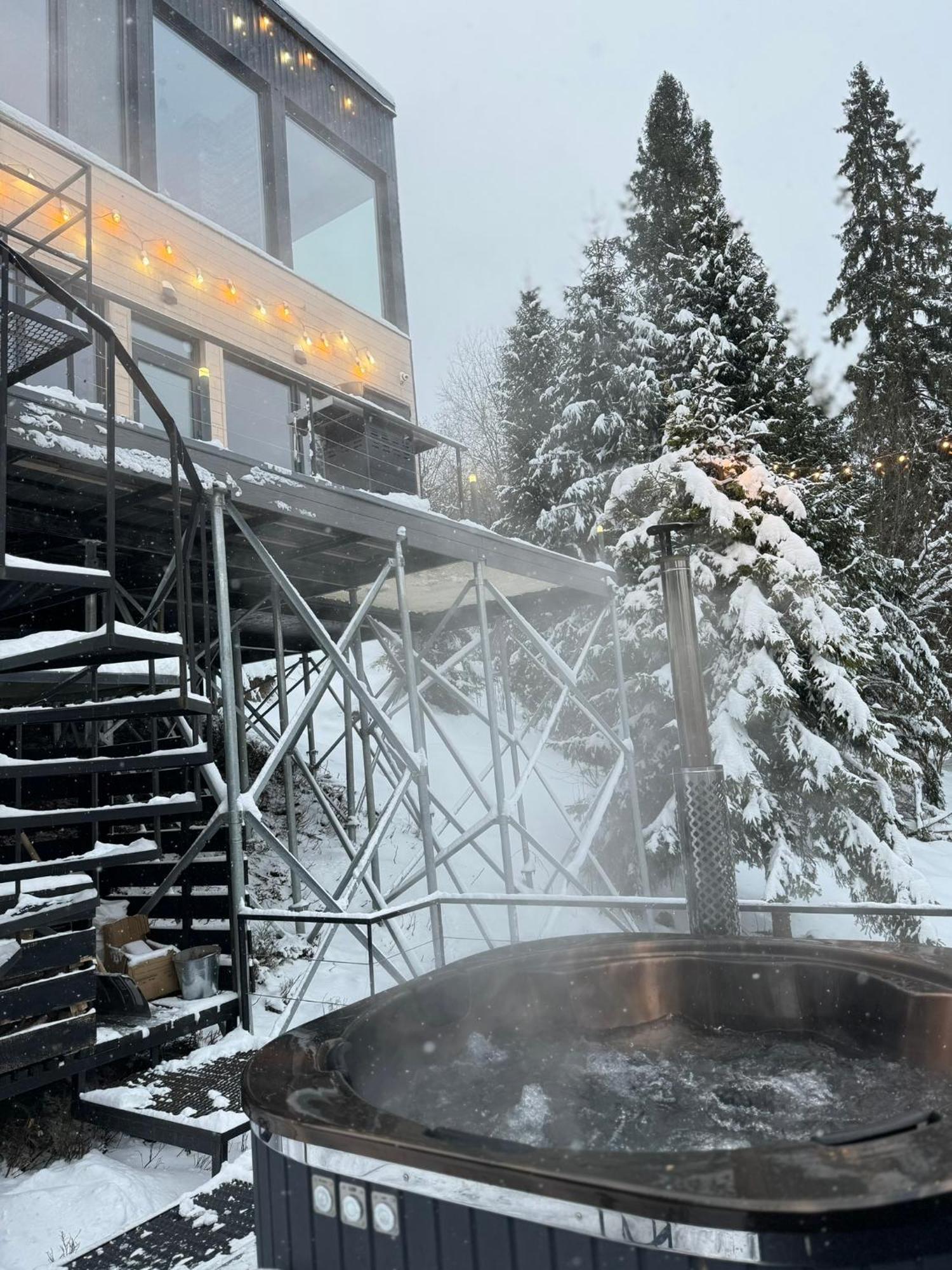 Vila Forest Hub Slavske Exteriér fotografie